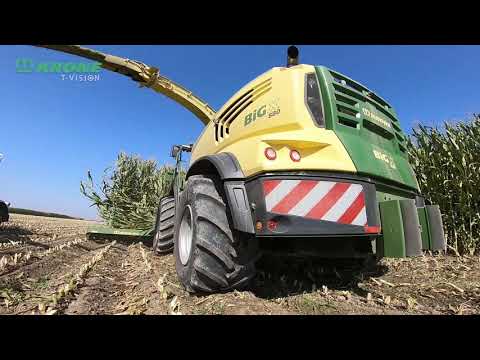 Rise Above Tour – Zu Besuch bei Coelho in El Nido, CA