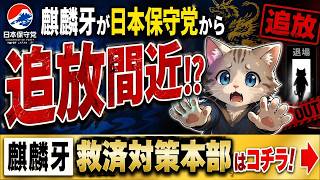 【緊急】麒麟牙が日本保守党から追放危機！救済対策本部が始動