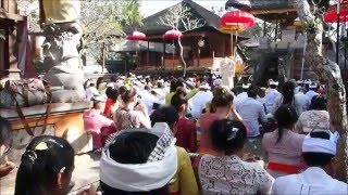 2015-07-25 Kuningan, Nyuh Kuning, Ubud, Bali