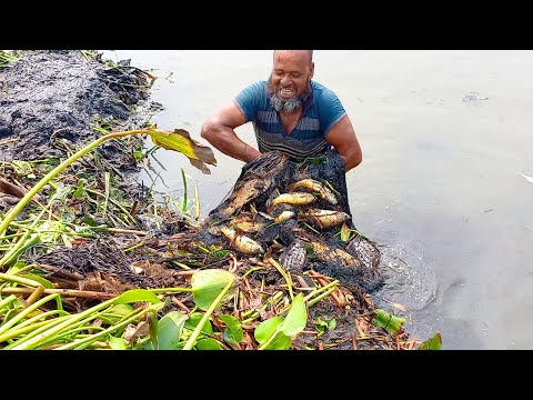 Extremely Unbelievable Satisfying Cast Net Fishing 2023! Everyone Should Watch This Fishing Video