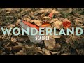 Seafret Wonderland Official Video