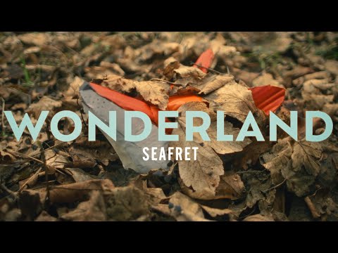 Video thumbnail for Wonderland