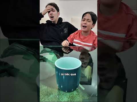 Số phận đã an bài 🤣