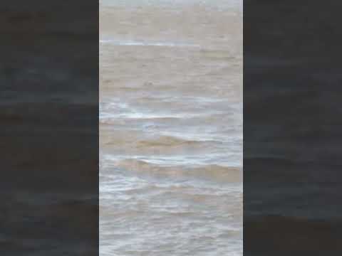 doi insi din comuna marasu,judetul braila prinsi de mine dind la curent pe dunare la bandoiu.