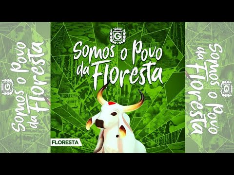 Revolução das Cunhãs - Garantido 2020