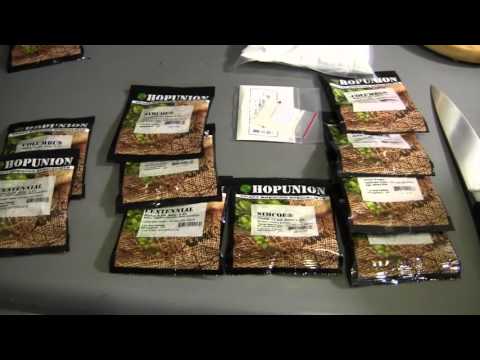 HBW 211 – Pedro der Schweißer – Lasst uns brauen