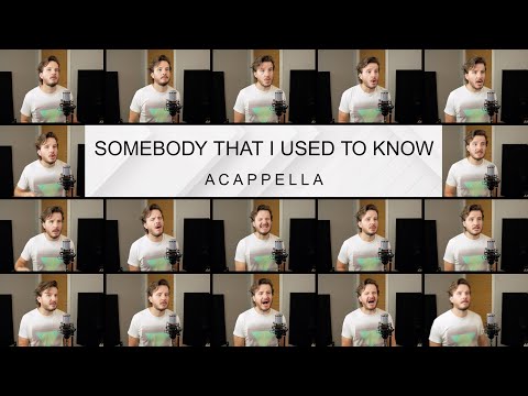 Gotye - Somebody That I Used To Know (ACAPELLA)