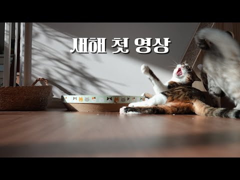 그녀들은 잘 지냅니다