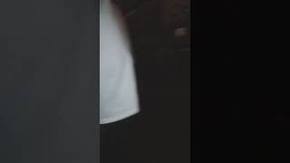 Download lagu Goyang di dalam Diskotik medan mp3