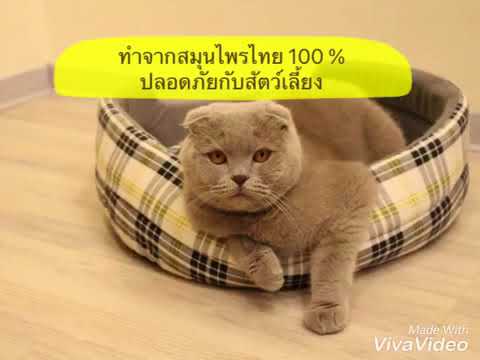 เป็นวิธีการรักษาโรคสะเก็ดเงิน กำเริบของโรคสะเก็ดเงินรูปภาพ