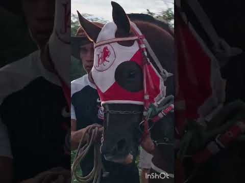 Grande corrida de cavalo no prado do balanço Em jericó Poranga ce