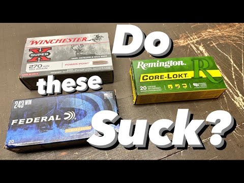 Affordable Hunting Ammo: Is it good enough?