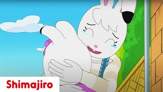 An Emotional Day 💕 Mom & Dad | 24 Minute Compilation | Kids video for Kids | Shimajiro