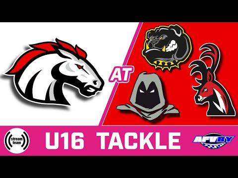 🔴🏈 STALLIONS at B²Amberg | Aschaffenburg at BUCKS/BULLDOGS/PHANTOMS | #americanfootball #afvby