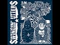 Swingin' Utters - Louise And Her Spider (Official Audio)