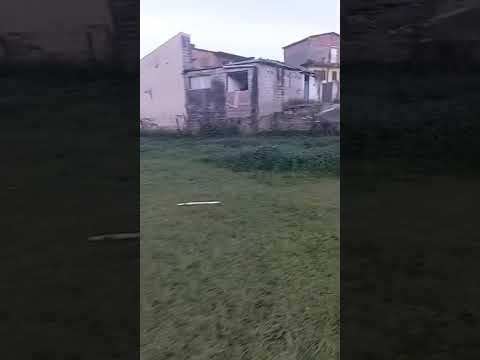 VEJA A SITUAÇÃO DO CAMPO DO JARDIM DAS PALMEIRAS MORADOR REGISTRA E CAMPO PODE VIRAR MANANCIAL