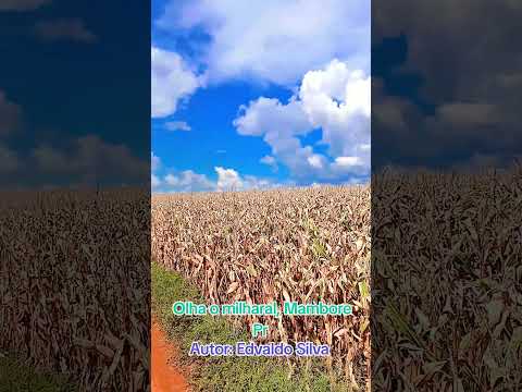 Município de Mambore Pr