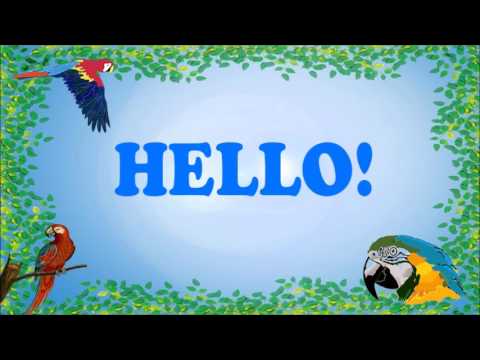 Teach your Parrot to say Hello!