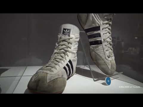 3) Freddie Mercury: A World of His Own