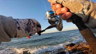 bass blitz orient point part 1