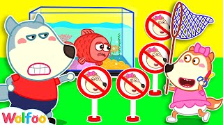 Wolfoo Saves Little Fish from Lucy - Funny Stories for Kids | Wolfoo Family Kids Cartoon