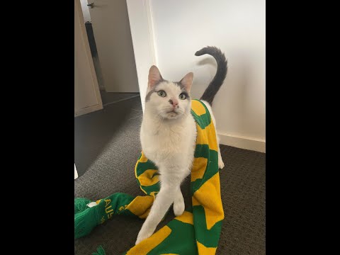 2023 MUWSC Audiovisual Spectacular - BRING IT ON