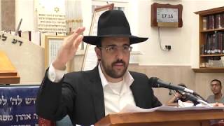 הרב מאיר אליהו | גלגולי נשמות חלק י״א | יזדים