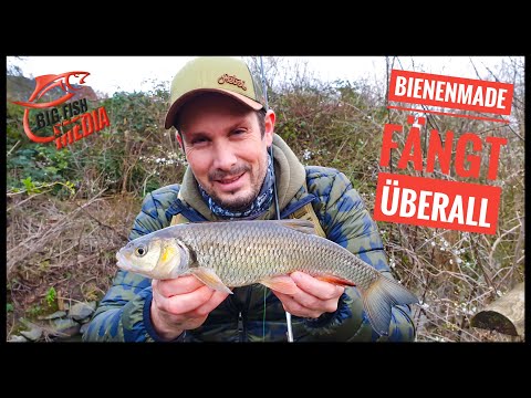 Bienenmade fängt überall - Christian am Bach