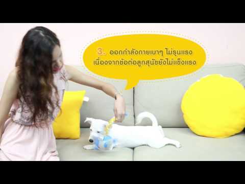 อารมณ์ความรู้สึกของโรคสะเก็ดเงิน IDSytin ไม่ว่าจะเป็นกล้วยกลาก