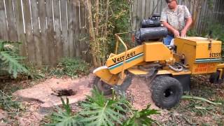 preview picture of video 'Bay St. Louis Stump Removal, Taylor Tree Co.'