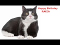 Raiza Cats Gatos Happy Birthday