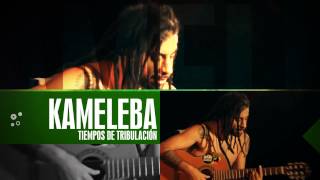 Premios PelaGatos 2013 - Mejor Disco