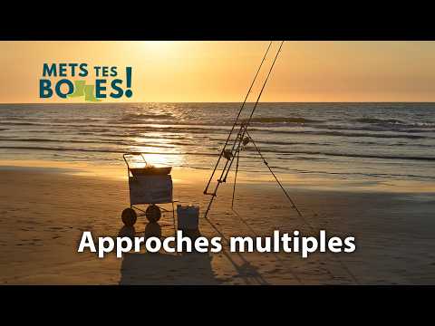 Bar, flet et cabillaud : les trésors cachés de la mer du Nord