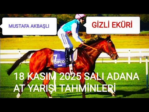 TUESDAY, NOVEMBER 18, 2025 ADANA HORSE RACE PREDICTIONS ON OUR SECRET SAME MATCH CHANNEL WITH 2 B...