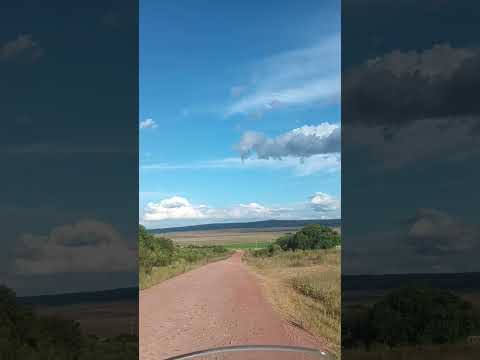 Camino entre ruta 7 y pueblo Centurión , departamento de Cerro Largo , Uruguay 🇺🇾 . Videitos .