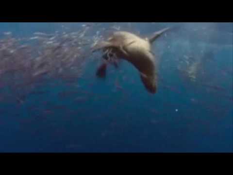 Minimalistix  - Close cover 2010