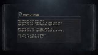 Bloodborne 初めての血質ビルドに挑戦してます