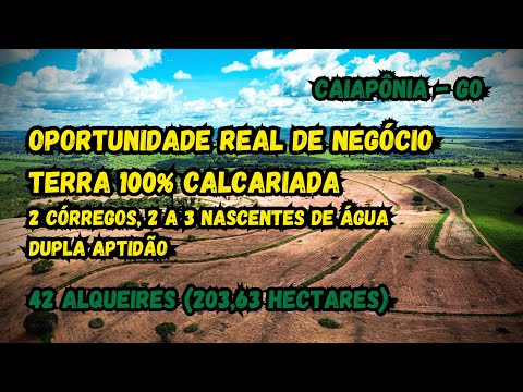 Fazenda de 42 Alqueires em Caiapônia GO | Terra Calcariada, Rica em Água e Pronta para Produzir