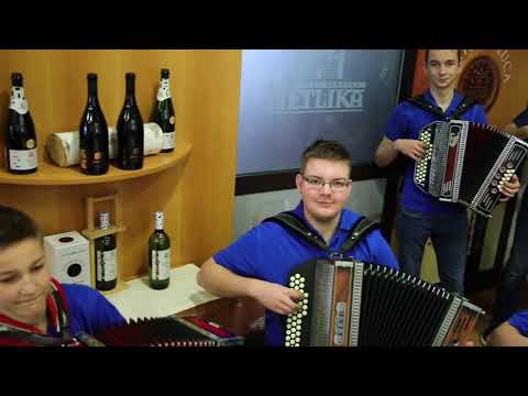 Harmonikarski orkester Andreja Bajuka- Divja kri