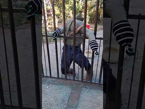 Canton Caracol #ciudadvictoria #sensuntepeque #cabañas #elsalvador