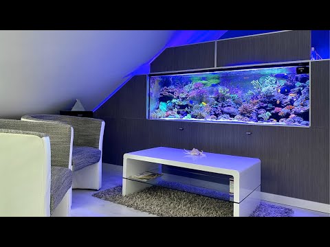 GERMAN REEF TANKS - no skimmer, no sump - 1000 liters mixed SPS and LPS saltwater aquarium - DSB