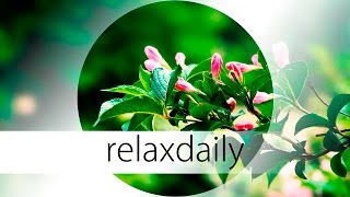 Uplifting Instrumental Music - positive, smooth - N°043 (4K)