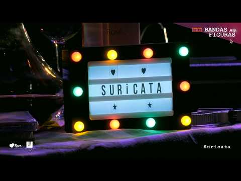 | DIRETO | Bandas ao Figuras - "SURICATA"