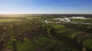 Flying Over a Green Farm Field in a Plane HD Video Scene Loop Background