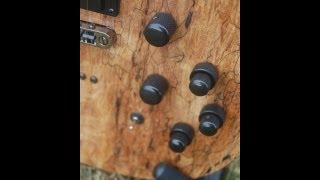 Video thumbnail for Carvin SH275 Piezo and Synth Demo by Mooseboy08