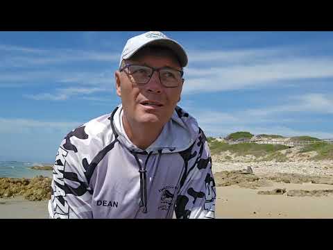 How to get fish to bite