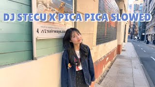 Download lagu DJ TIKTOK STECU X PICA PICA SLOWED VIRAL TIKTOK 2025 mp3