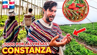 El lugar más FAMOSO en las Redes Sociales está en CONSTANZA🇩🇴 | Fresas Ariyama😱