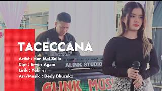 Download lagu Lagu Bugis Viral ~ TACECCANA~ Nur Mai Sella (Cover Version )  alink Musik mp3