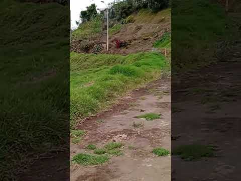 esto es  pelileo Tungurahua Ecuador Maycol Morales